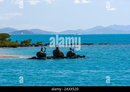 Sirene su Daydream Island, Queensland, Australia Foto Stock