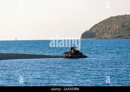 Resort a Daydream Island, Queensland, Australia Foto Stock