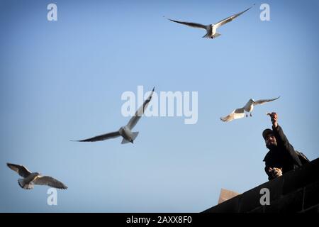 Praga, Repubblica Ceca. 13th Feb, 2020. Persone che alimentano uccelli sul ponte Carlo sul fiume Moldava nella capitale Praga, Repubblica Ceca. Credito: Slavek Ruta/Zuma Wire/Alamy Live News Foto Stock