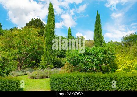 parco, siepe, prato verde e cielo blu Foto Stock