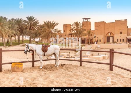 Stalla con cavalli arabi purosangue vicino a un antico villaggio nel deserto Sands. Foto Stock