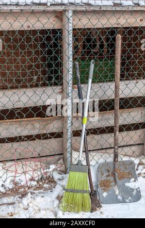 Attrezzi e attrezzature - una scopa, una pala e un piccone per la pulizia delle gabbie di un rifugio per cani senza tetto. Sullo sfondo, cani in gabbia. Intorno a. Foto Stock