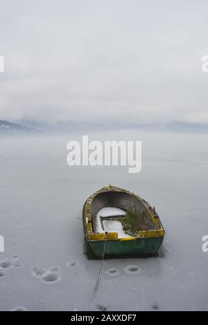 Un ramo di pino in una barca intrappolata in un lago ghiacciato Foto Stock