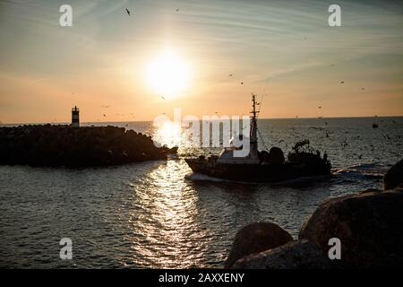 Barca da pesca di ritorno dal mare al porto circondato da gabbiani Foto Stock