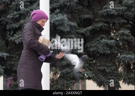 Ucraina. 15 Gennaio 2016. Donna che alimenta i piccioni con il pane nelle sue mani Foto Stock