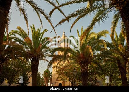 Giornata di sole nel parco delle palme vicino alla chiesa, Ragusa, Italia Foto Stock