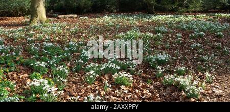 Anglesey Abbey, Lode, Cambridge, Regno Unito Foto Stock