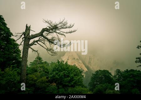 Coperto di nebbia, nebbia e nuvole basse, sentiero di montagna che conduce alla cima di un picco del sud sulla montagna di Huashan, provincia di Shaanxi, Cina Foto Stock