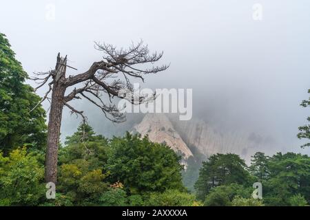 Coperto di nebbia, nebbia e nuvole basse, sentiero di montagna che conduce alla cima di un picco del sud sulla montagna di Huashan, provincia di Shaanxi, Cina Foto Stock