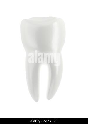 Dente molare isolato su sfondo bianco. figura 3d. Oggetto singolo. Foto Stock