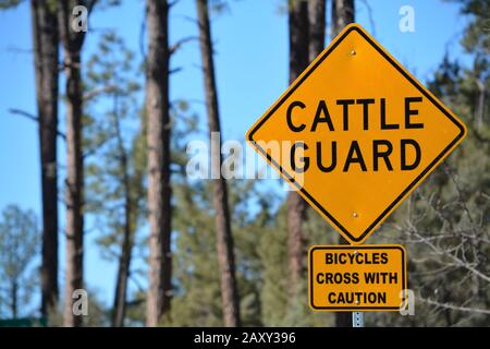 Cartello segnaletico della Guardia del bestiame e Biciclette Croce con cartello segnaletico. Gila County, Tonto National Forest, Arizona Stati Uniti Foto Stock