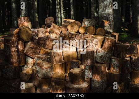 Grande pila ordinatamente accatastata di tronchi di albero tagliati. Montenegro Foto Stock