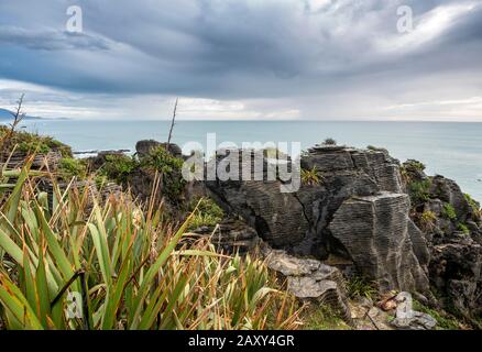 Paesaggio Costiero Di Rocce Di Arenaria, Pankake Rocks, Parco Nazionale Di Paparoa, Punakaiki, West Coast, South Island, Nuova Zelanda Foto Stock