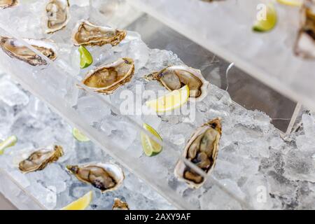 Ostriche fresche su ghiaccio con fette di limone e lime. Catering stand. Foto Stock