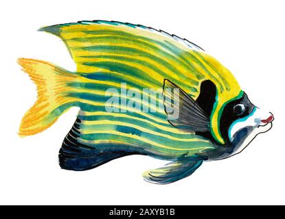Corallo tropicale pesce. China e acquarello illustrazione Foto Stock