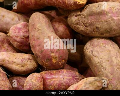 Primo piano di patate dolci bianche con pelle viola. Foto Stock