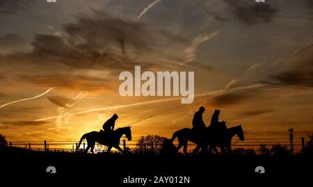 I cavalli di Sam Drinkwater sulle galoppe alle Granary Stables, Upper Strensham. Foto Stock