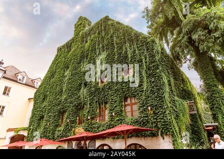 7 agosto 2019, Munchen, Germania: Casa cresciuta a Monaco Foto Stock