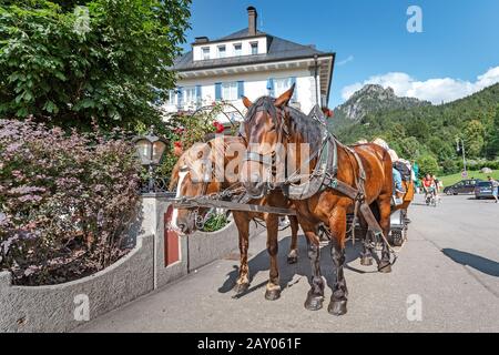 08 agosto 2019, Schwangau, Germania: Carretto a cavallo per i turisti vicino al castello di Neuschwanstein Foto Stock