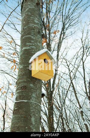 Bird casa sull'albero in inverno Foto Stock