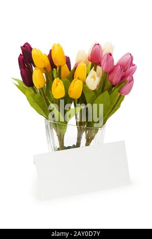 Tulipani e un messaggio vuoto isolato su bianco Foto Stock