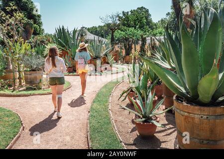 Due giovani ragazze amici camminare in giardino botanico tra cactus Foto Stock