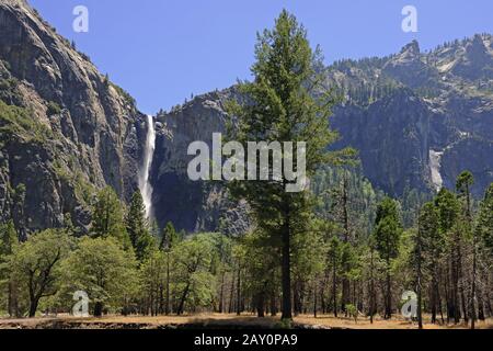 Bridaveil Cade Nel Parco Nazionale Di Yosemite, California, Stati Uniti Foto Stock