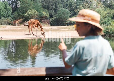 Felice ragazza studentesca asiatica zoologia guardando giraffe bere dal lago