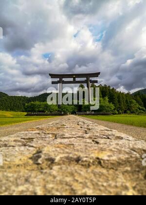 La porta più grande del mondo dei torii all'ingresso del sito sacro di Kumano Hongu Taisha sul sentiero di pellegrinaggio Kumano Kodo a Wakayama, Giappone Foto Stock