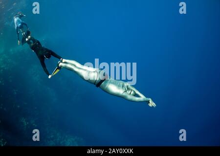 Divertenti giochi di freebdiving al Mar Rosso Foto Stock