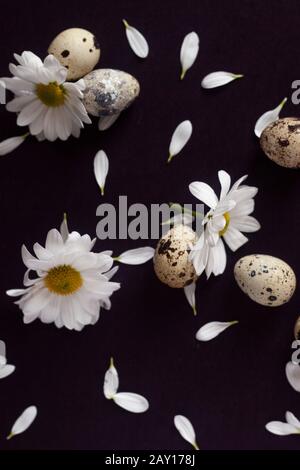 Felice concetto di Pasqua. Le uova bianche di pasqua con petali di fiori si adagiano sullo sfondo scuro. Piatto decorativo di Pasqua. Vista dall'alto alle uova di pasqua e. Foto Stock