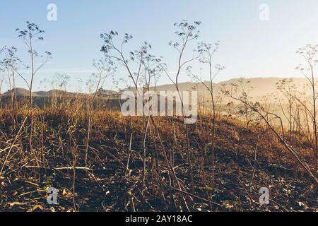 Point Reyes National Seashore, California Foto Stock