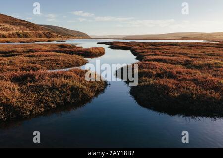 Estuario intertidale con canali d'acqua al tramonto Foto Stock