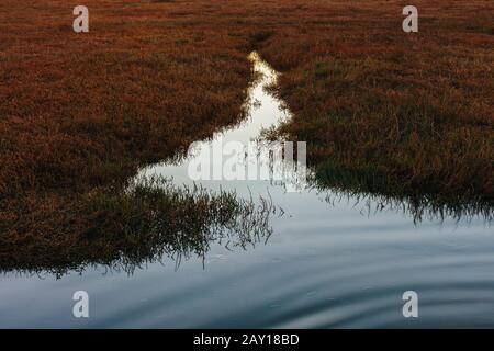 Estuario intertidale al tramonto Foto Stock