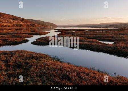 Estuario intertidale al tramonto Foto Stock