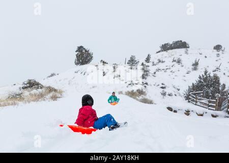 siblings slitta giù collina Foto Stock