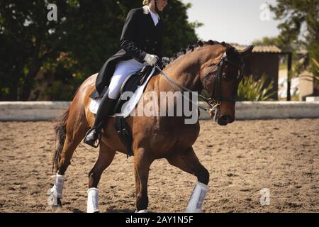 Donna caucasica cavalcando il suo cavallo dressage Foto Stock