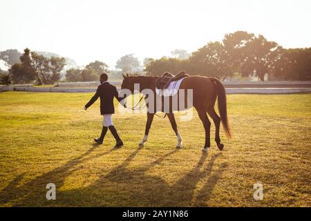 Uomo che cammina con il suo cavallo di dressage su un paddock Foto Stock