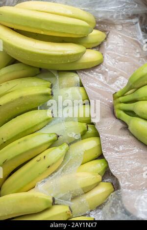 Scatola di banane (Musa acuminata, o un'altra varietà?) in vendita presso il drogheria locale del Regno Unito. Cinque metafora al giorno, frutta fresca, cibo importato, colore giallo. Foto Stock