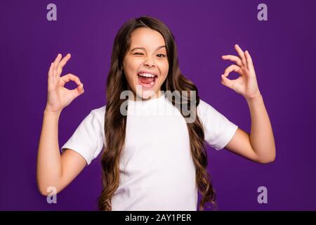 Primo piano ritratto di lei bella bella bella bella allegra allegro eccitato capelli ondulati ragazza mostrando due okay-segno Winking isolato su brillante vivido Foto Stock