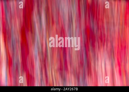 SFONDO SFOCATO IN MOVIMENTO ROSSO Foto Stock