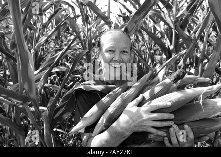 Donna contadina che raccoglie i corncobs al campo Foto Stock