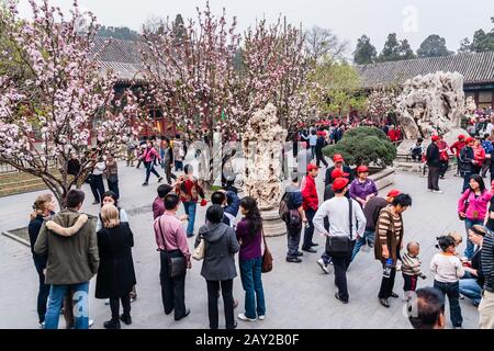 Turisti nel complesso del Palazzo d'Estate, Pechino Foto Stock