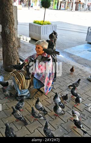 Sofia, Bulgaria - 16 Giugno 2018: Unidentified vecchia donna su un marciapiede in mezzo la folla di colombe per la loro alimentazione Foto Stock