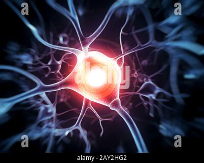 Rendering 3d - illustrazione delle cellule nervose Foto Stock