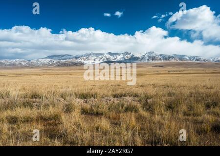 Altopiani tibetani e lontane montagne innevate Foto Stock