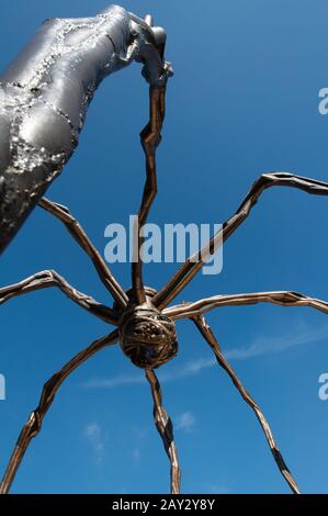 Il ragno scultura Maman di Louise Bourgeois. Museo Guggenheim Bilbao. Progettato da Canadian-American architetto Frank Gehry, Foto Stock