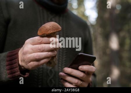 Mani che tengono il fungo e il telefono cellulare Foto Stock