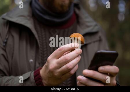 Mani che tengono il fungo e il telefono cellulare Foto Stock