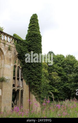 Torretta sorcresciuta con edera all'esterno del castello gotico abbandonato Crawford Priory Foto Stock